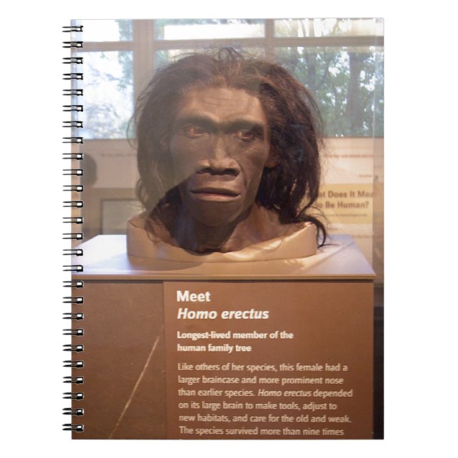Homoerectus; museumutställning anteckningsbok med spiral (Framsidan)