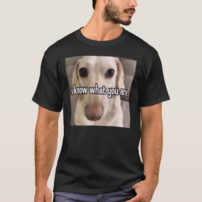 Homofob Hund jag vet vad du är T Shirt (Framsida)