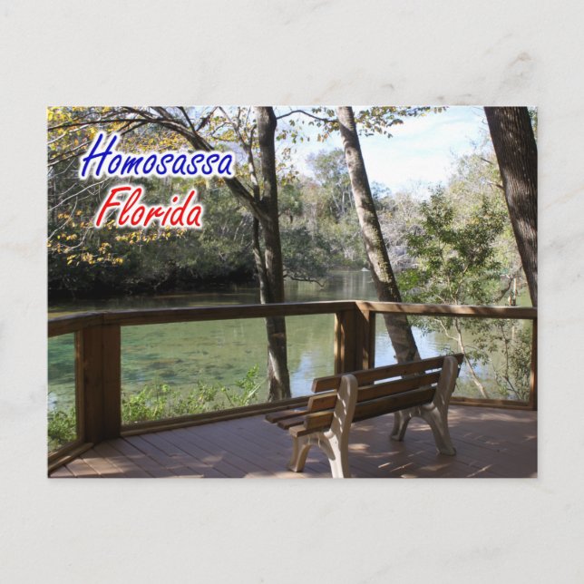Homosassa Florida Postcard Vykort (Framsida)