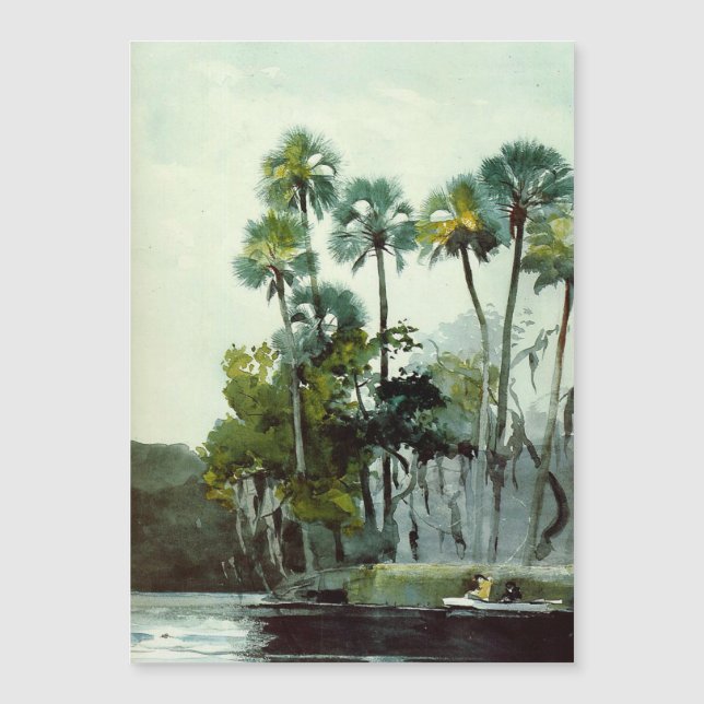 Homosassa River av Winslow Homer (Framsida)
