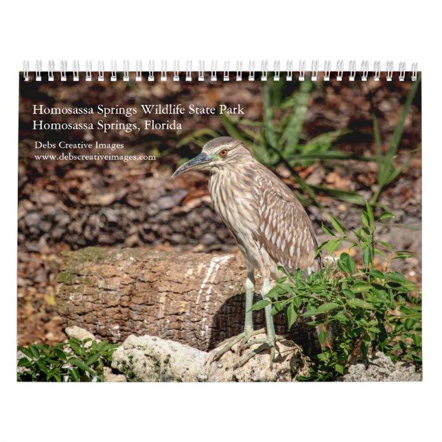 Homosassa Vår Wildlife Park 2026 Kalender (Omslag)