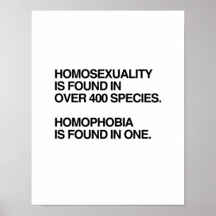 HOMOSEXUALITET FINNAS I 400 ART POSTER