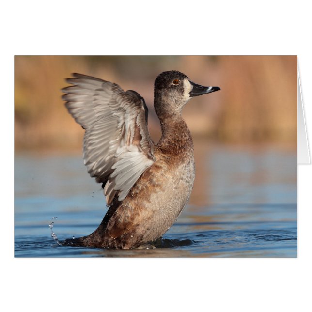 Hon är en Flapper Hälsningskort (Framsidan Horizontal)