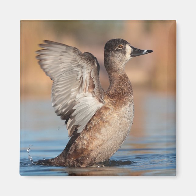 Hon är en flapper magnet (Framsidan)