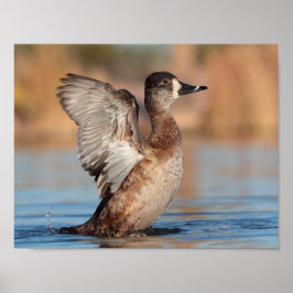 Hon är en Flapper Poster