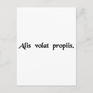 Hon flyger med sin egen vinge vykort