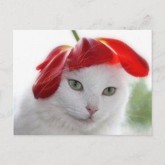 Hon hade en hatt formad som en tulip vykort