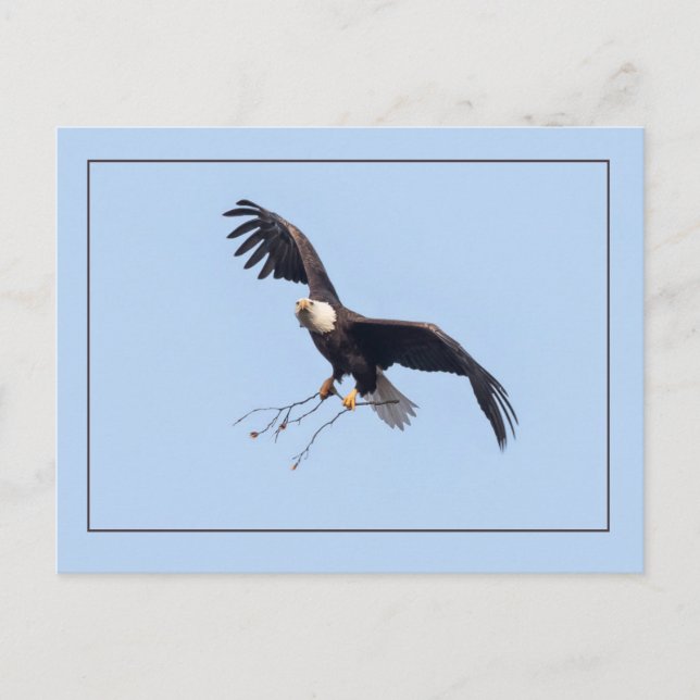 Hon har en penna vykort (Framsida)