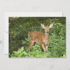 Hon har fortfarande sina fläckar - Fawn Notecard Tack Kort