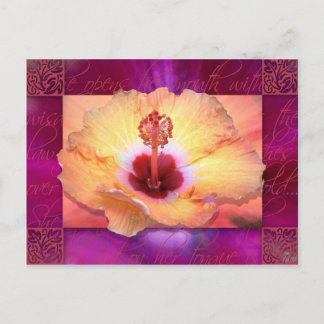 Hon öppnar sin mun med vishet vykort