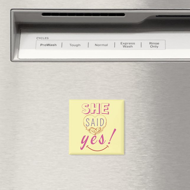 Hon sa ja magnet (In Situ (Dishwasher))