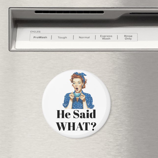 Hon Sade Vad? Magnet (In Situ (Dishwasher))