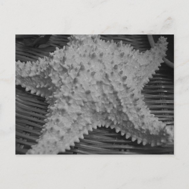 Hon säljer sjöceller vid kusten vykort (Framsida)