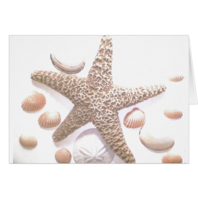 Hon säljer snäckor hälsningskort (Framsidan Horizontal)