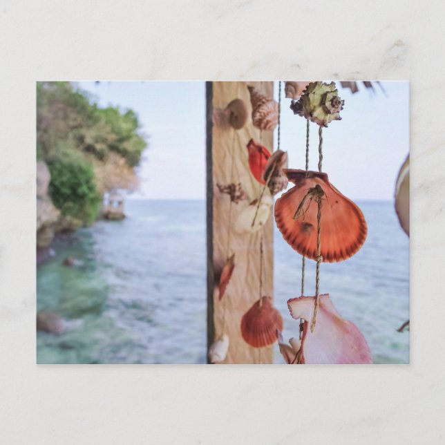 Hon säljer Snäckor Vykort (Framsida)