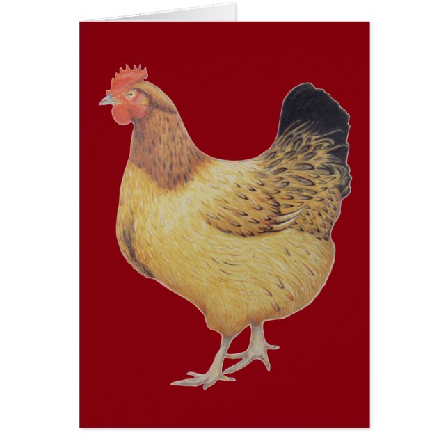 Höna 2012 hälsningskort (Framsidan)