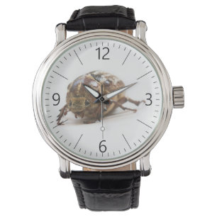 Hona av Polyphylla fullo beetle Armbandsur