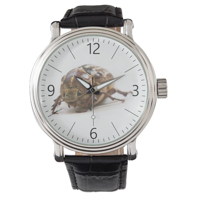 Hona av Polyphylla fullo beetle Armbandsur (Framsida)