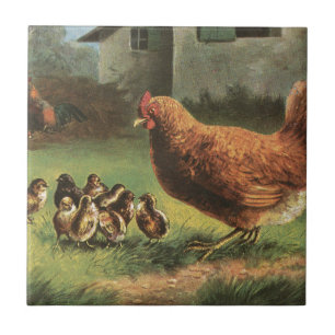 Höna och chickar kakelplatta