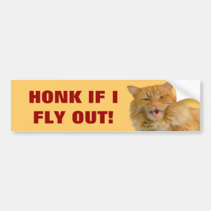 Hona om en katt flyger ut bildekal