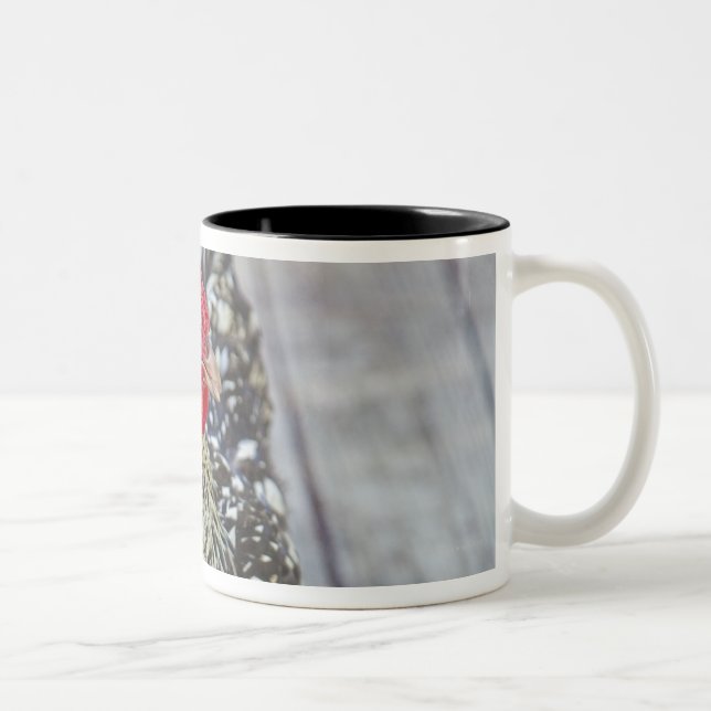 Höna på det wood däcket, silver snörde åt Två-Tonad mugg (Höger)