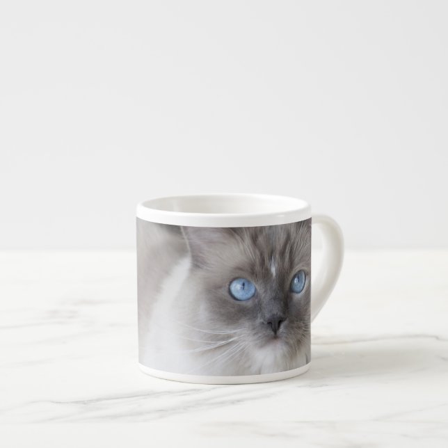 Hona Ragdoll Katt Espressomugg (Framsida höger)