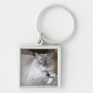 Hona Ragdoll Katt Fyrkantig Silverfärgad Nyckelring