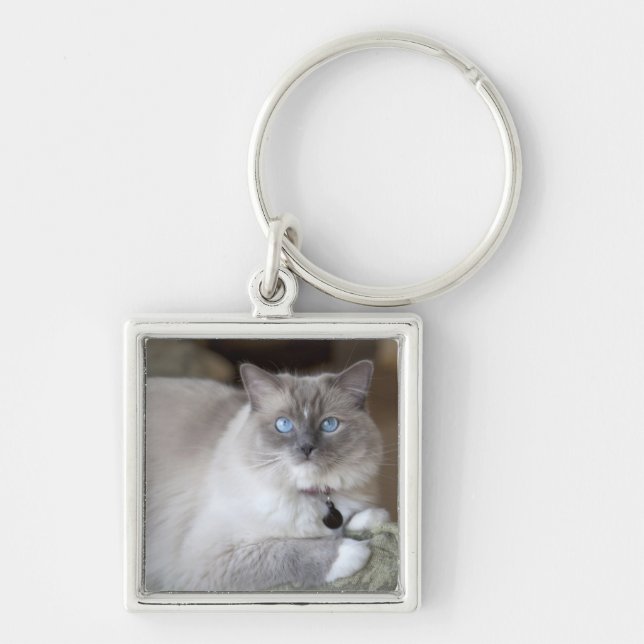 Hona Ragdoll Katt Fyrkantig Silverfärgad Nyckelring (Framsidan)