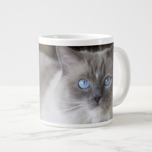 Hona Ragdoll Katt Jumbo Mugg (Framsida höger)