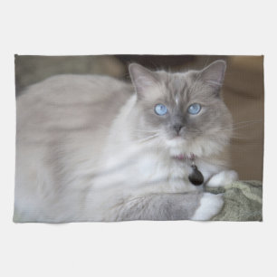 Hona Ragdoll Katt Kökshandduk