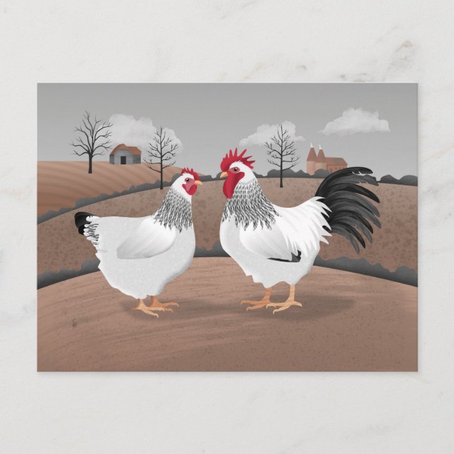 Höna & Tupp Vykort (Framsida)