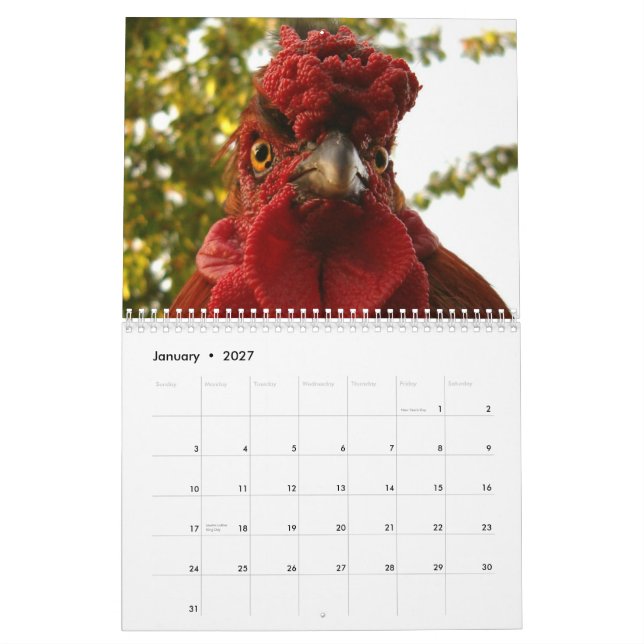 Höna- & tuppkalender kalender (Jan 2027)