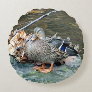 Honale Mallard Anka (i Sten), rundad fyllning Rund Kudde