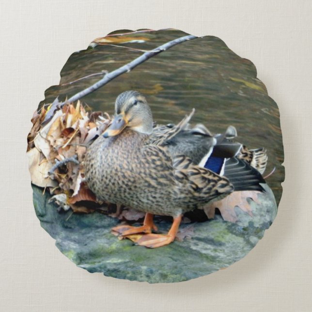 Honale Mallard Anka (i Sten), rundad fyllning Rund Kudde (Framsidan)