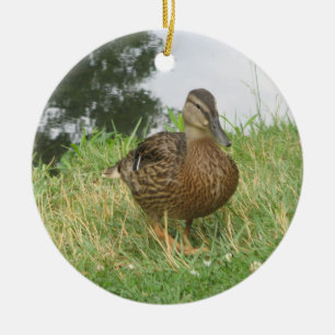 Honale Mallard Anka Ornament