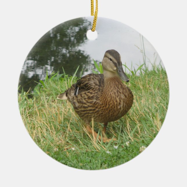 Honale Mallard Anka Ornament (Framsidan)