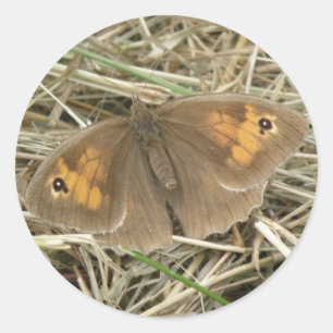 Honale Meadow Brown Butterfly Stickers Runt Klistermärke