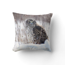 Hondjur, norra Harrier