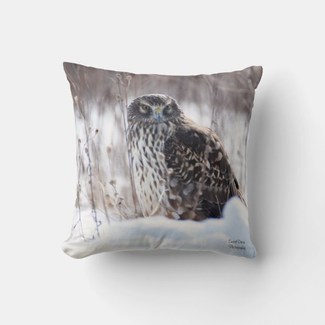 Hondjur, norra Harrier Kudde (Framsida)