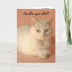 Hondjurets födelsedag kort