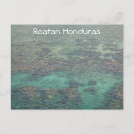 Honduras Coral Reef Vykort