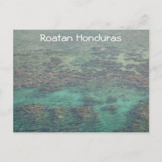 Honduras Coral Reef Vykort