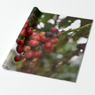 Honduras kaffebönor presentpapper