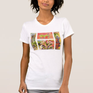 Honduras plaza t t-shirt