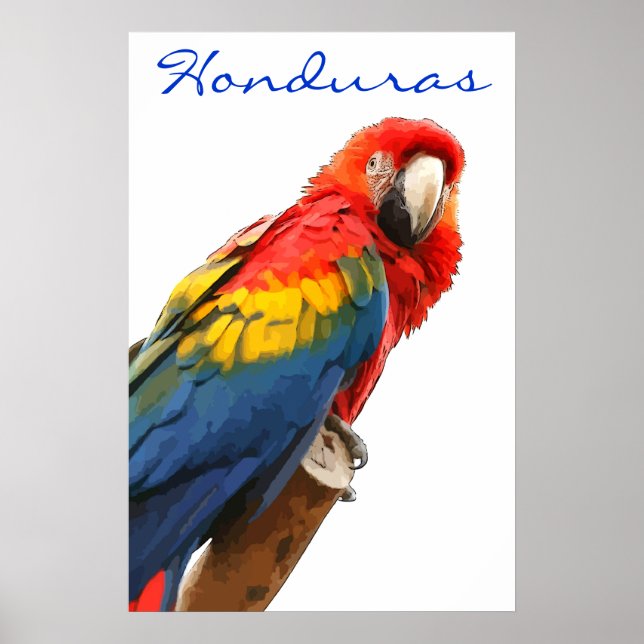 Honduras Scarlet Macaw Poster (Framsidan)
