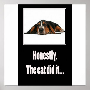 Honestly gjorde katten det… poster