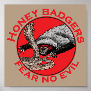 Honey badger fruktar ingen ondskefull fågelart poster