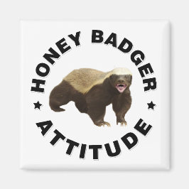 Honey badger har attitydmagnet magnet
