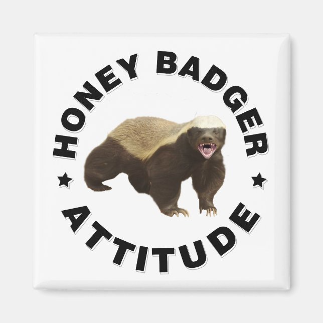 Honey badger har attitydmagnet magnet (Framsidan)