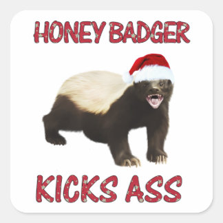 Honey badger Kicks... Fyrkantigt Klistermärke